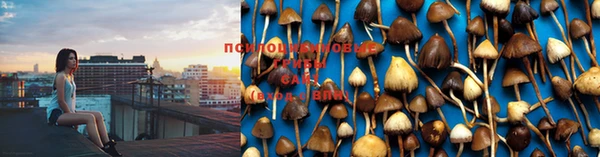 ешки Бородино