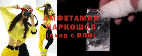 ешки Бородино