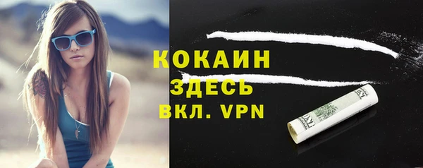 ешки Бородино