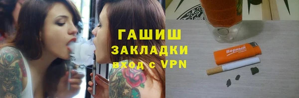 прущие грибы Осинники