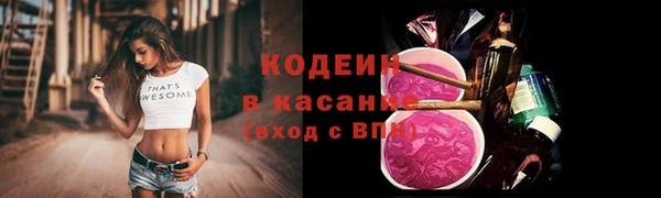ешки Бородино