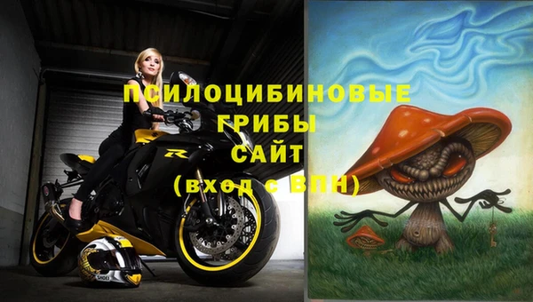 ешки Бородино