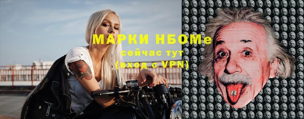 ешки Бородино