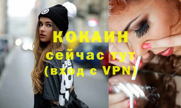ешки Бородино