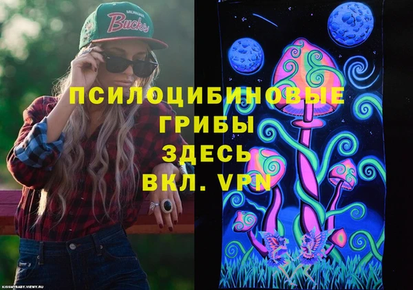 соль ск Бугульма