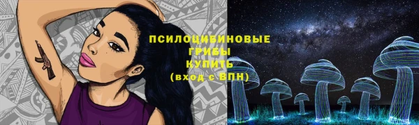 ешки Бородино