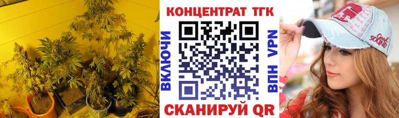 Купить  Кизел  ТГК концентрат 