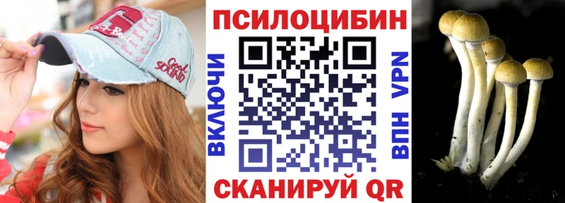 Псилоцибиновые грибы Psilocybine cubensis  Купить закладки  Кизел 