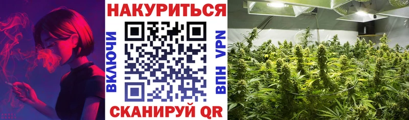 Купить где  Кизел  Бошки марихуана сатива 